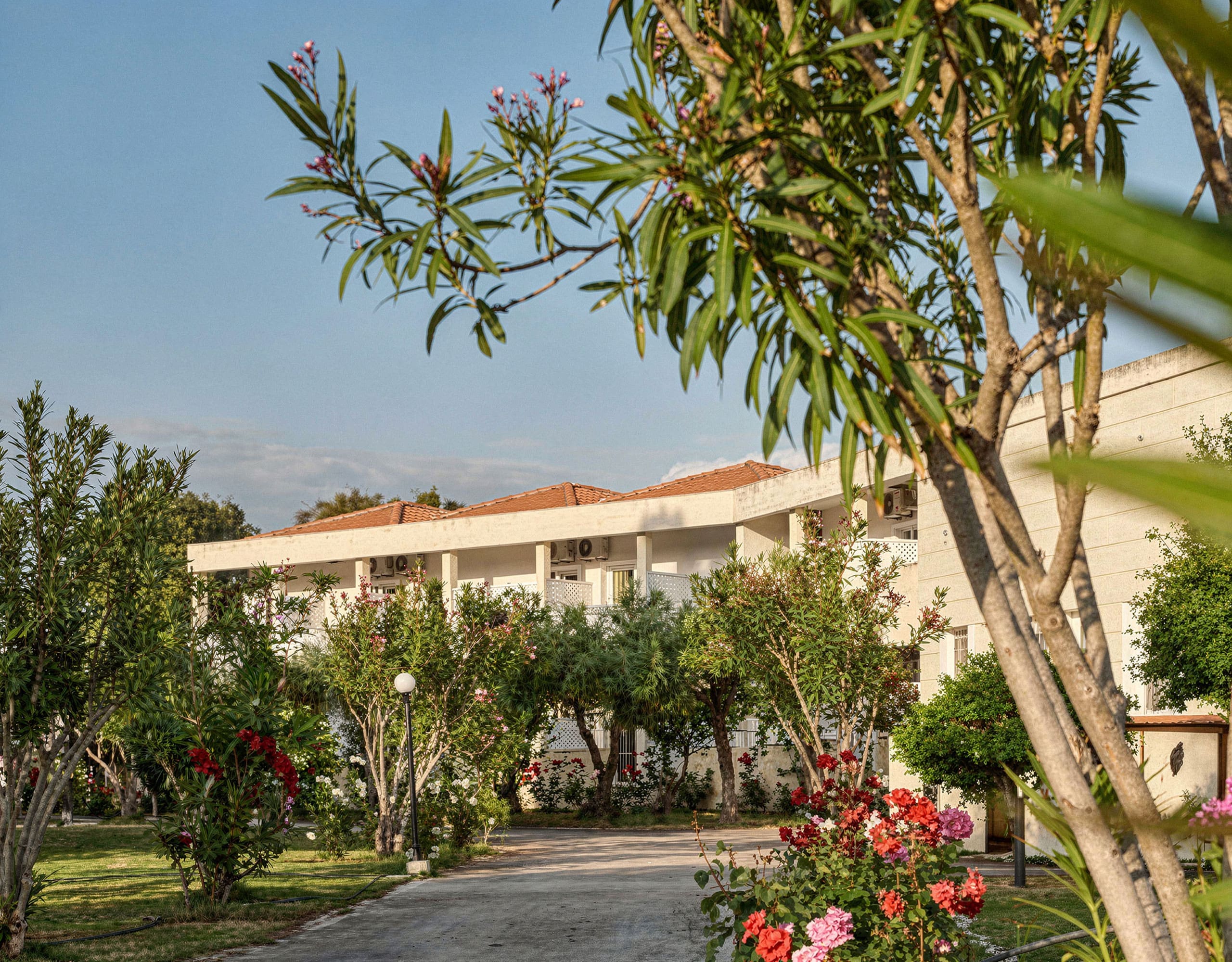 Skala Kallonis 3-Star Beachfront Hotel – Garden Path And Exterior Hotel exterior with garden path, trees, and flowering plants, Skala Kallonis, Lesvos, Greece