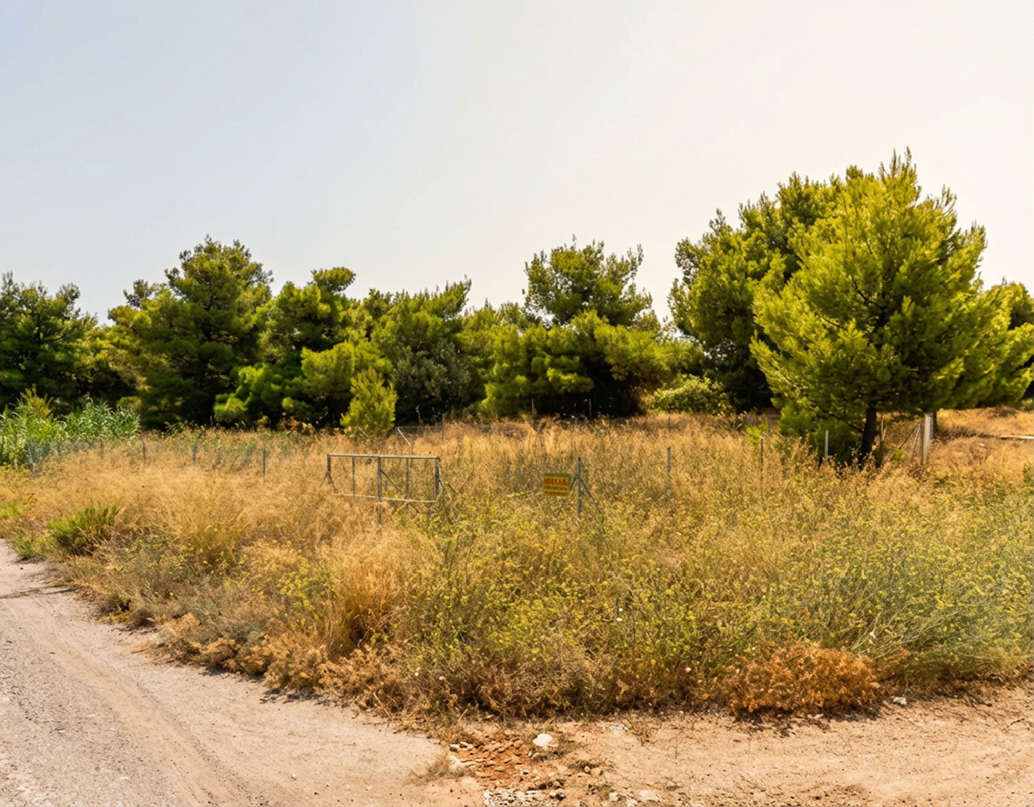 Roadside view of the land plot with dry vegetation and pine trees, Chalandri, Athens, Greece