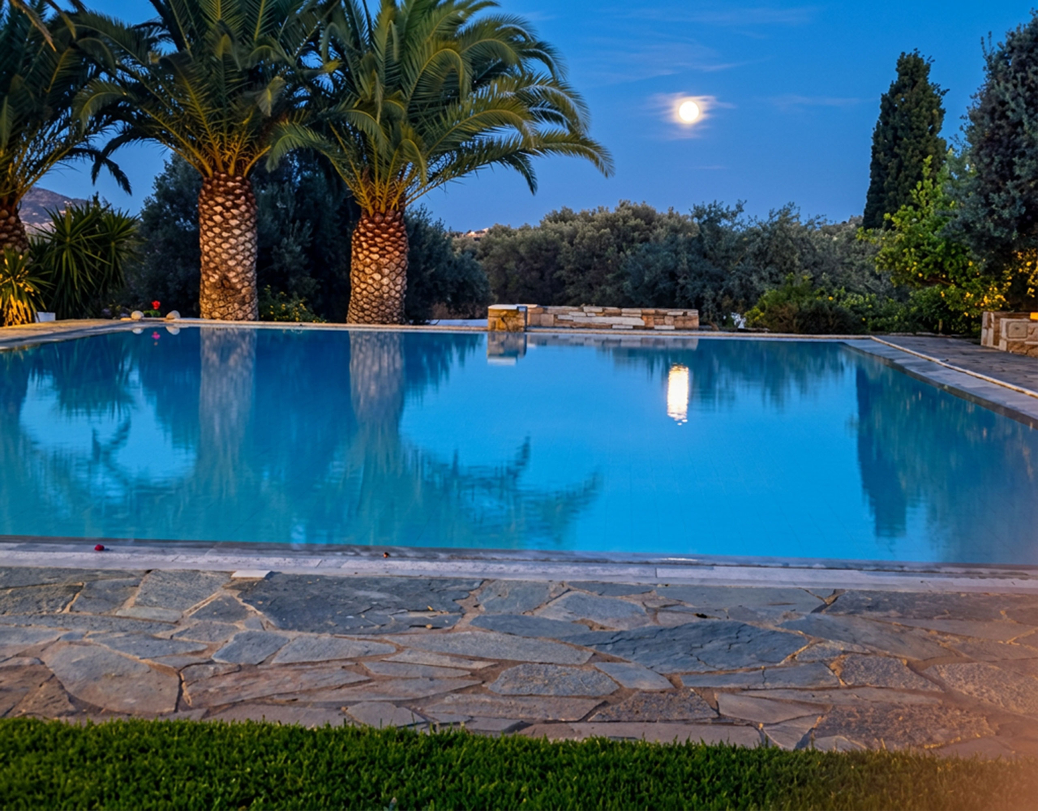 Porto Rafti Estate – Pool at Dusk Swimming pool at dusk with palm trees at a private estate in Porto Rafti, Attica
