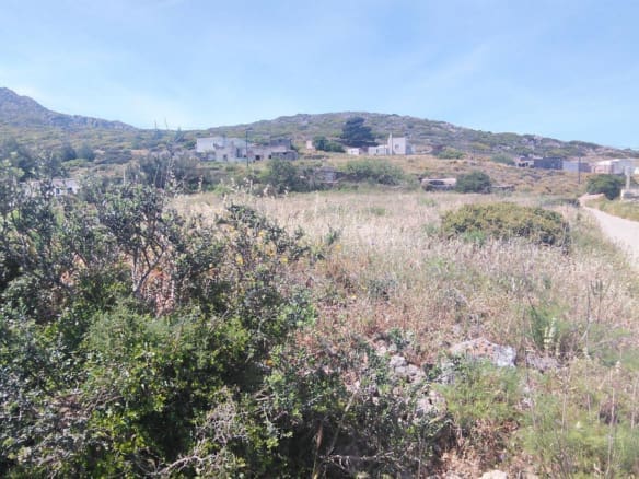 Hillside land view with natural vegetation and distant sea horizon, Kythira, Greece
