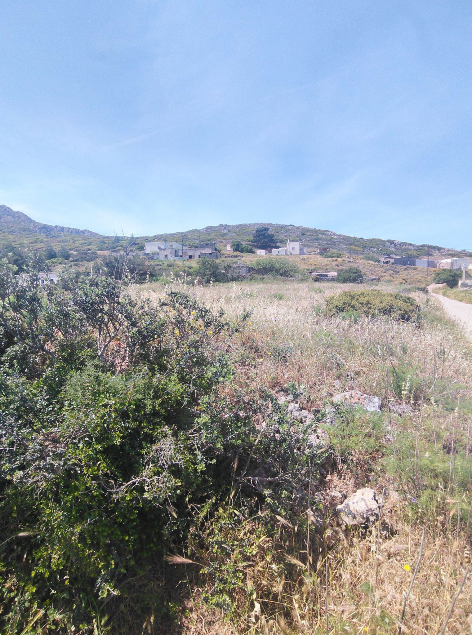 Hillside land view with natural vegetation and distant sea horizon, Kythira, Greece