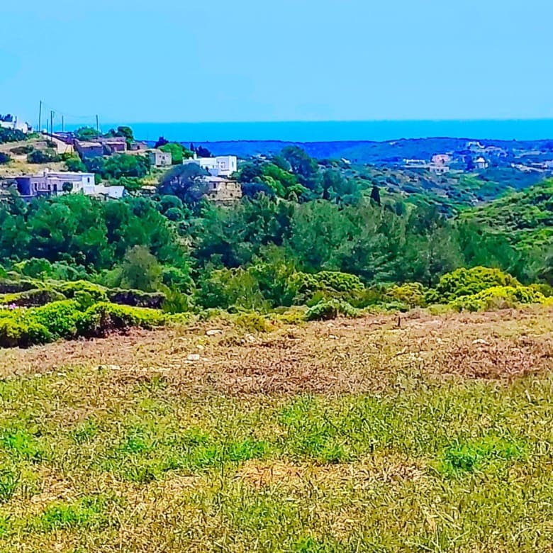 Elevated land view with grassy terrain and panoramic sea view, Kythira, Greece