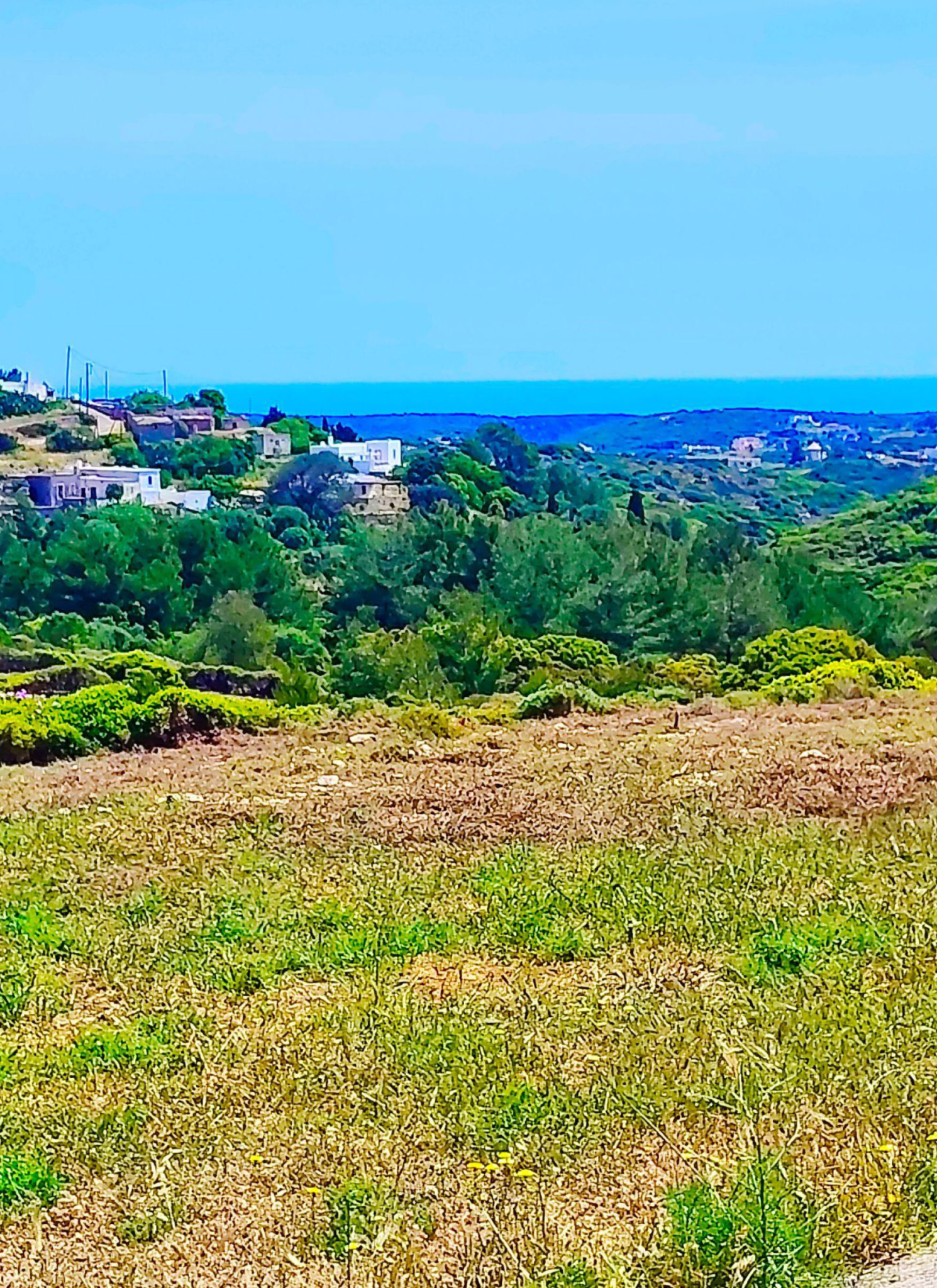 Elevated land view with grassy terrain and panoramic sea view, Kythira, Greece