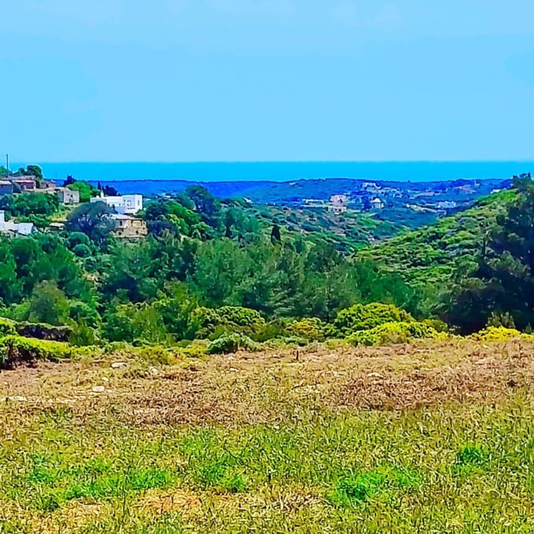 Open plot area with low vegetation and sea view in the distance, Kythira, Greece