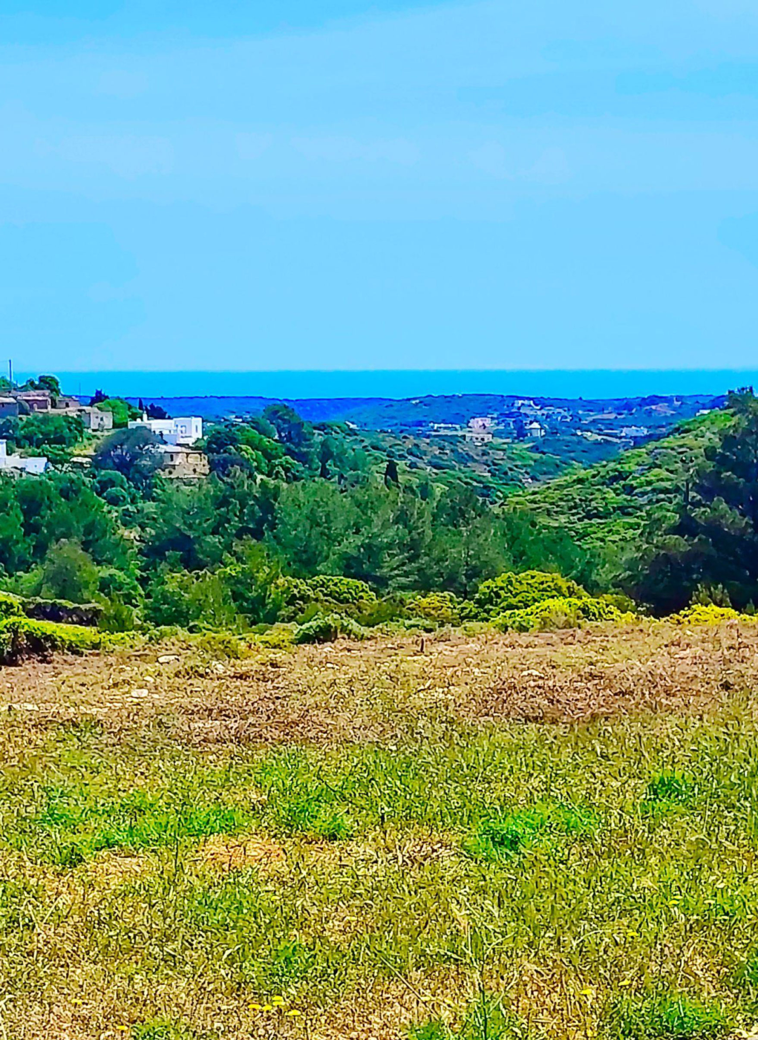 Open plot area with low vegetation and sea view in the distance, Kythira, Greece