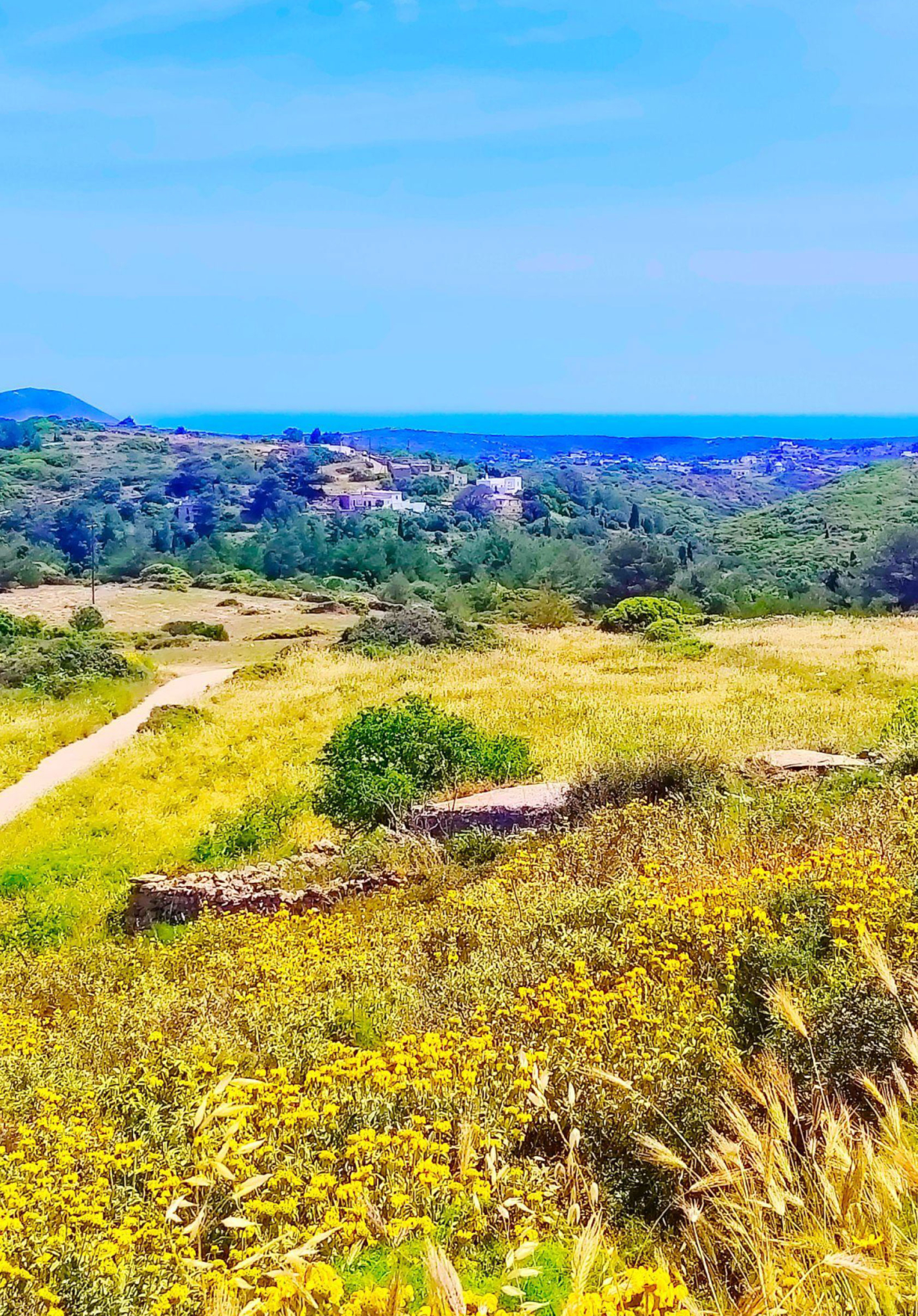 Elevated landscape with wildflowers, access track, and sea view, Kythira, Greece