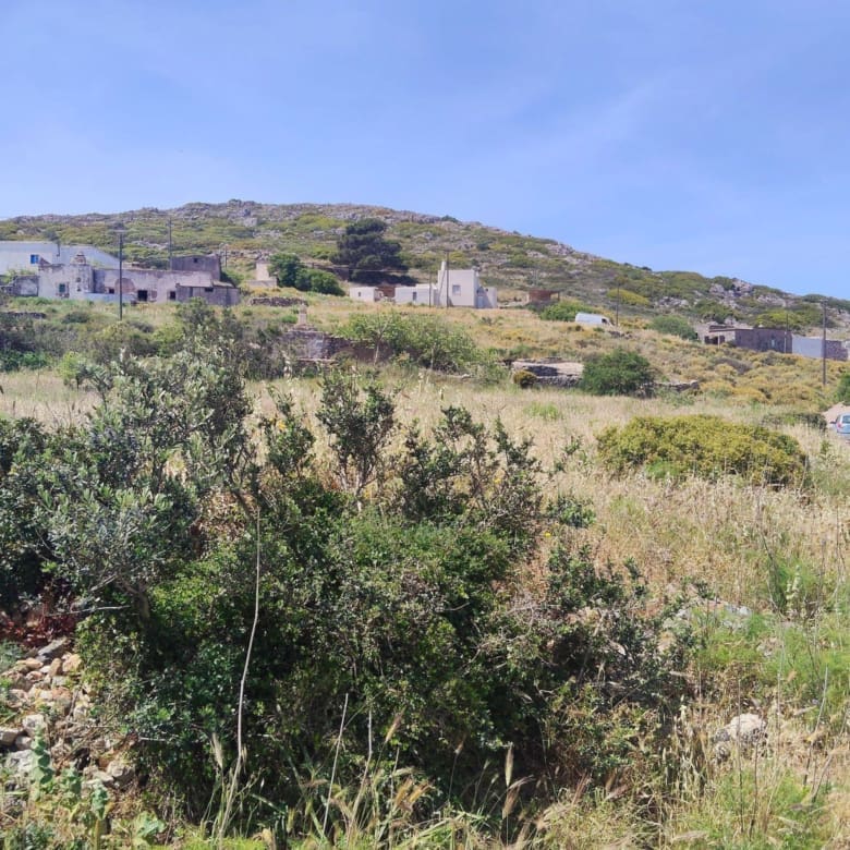 Hillside plot view with shrubs and open landscape, Kythira, Greece