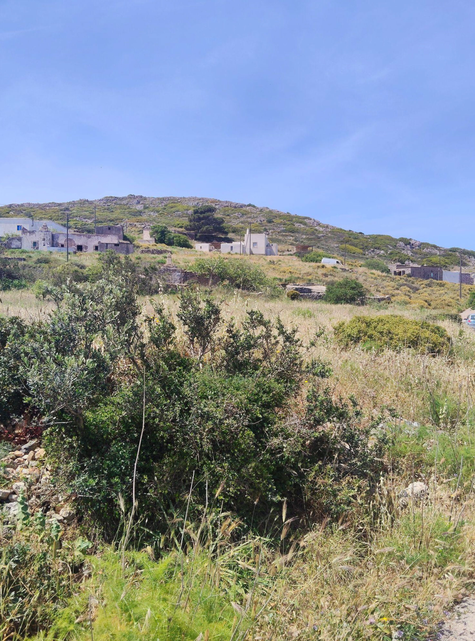 Hillside plot view with shrubs and open landscape, Kythira, Greece