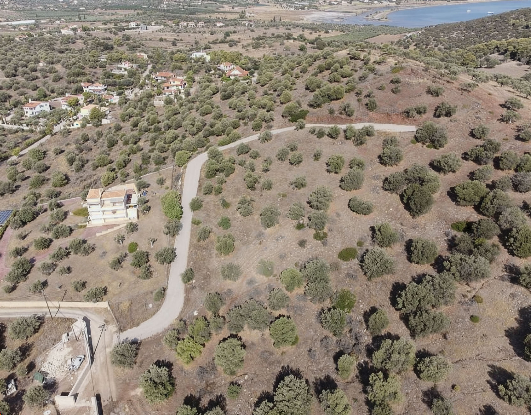 Ermioni Seaview Land Plot – Wide Drone View With Distant Sea Wide drone view of the plot area with olive trees and distant sea, Ermioni, Greece