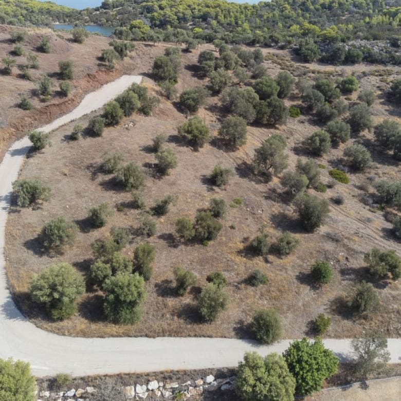 Aerial view of the plot terrain with access road and olive trees, Ermioni, Greece