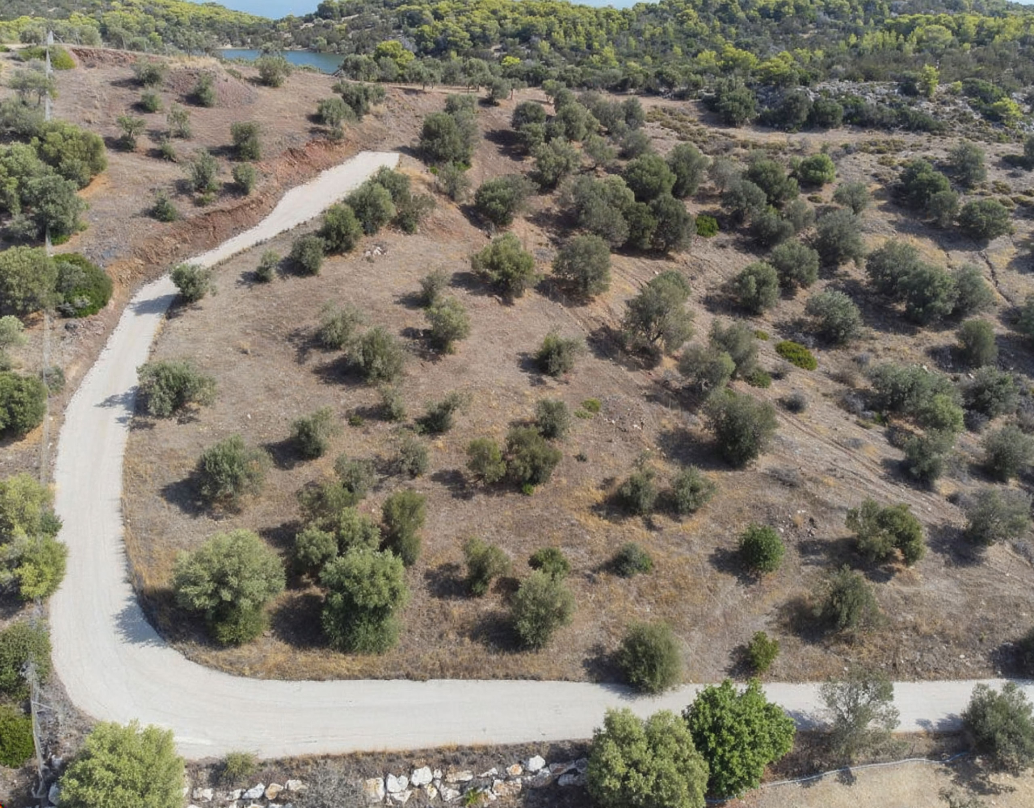 Ermioni Seaview Land Plot – Aerial View With Access Road Aerial view of the plot terrain with access road and olive trees, Ermioni, Greece
