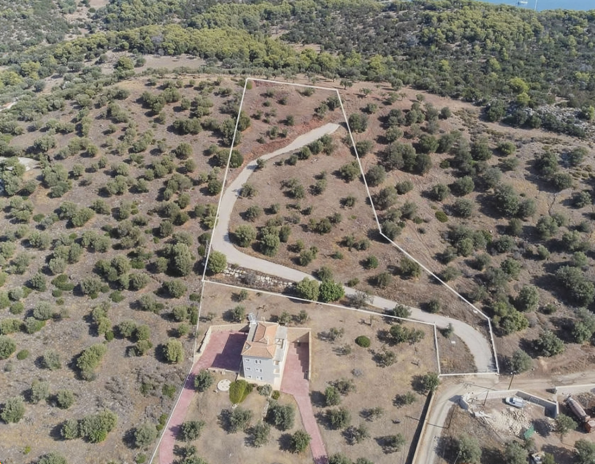 Ermioni Seaview Land Plot – Aerial Plot View With Olive Trees Aerial view of the plot with access road and olive trees, Ermioni, Greece