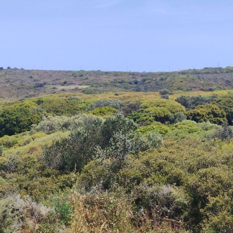 Elevated land view with shrubs and open horizon, Kythira, Greece