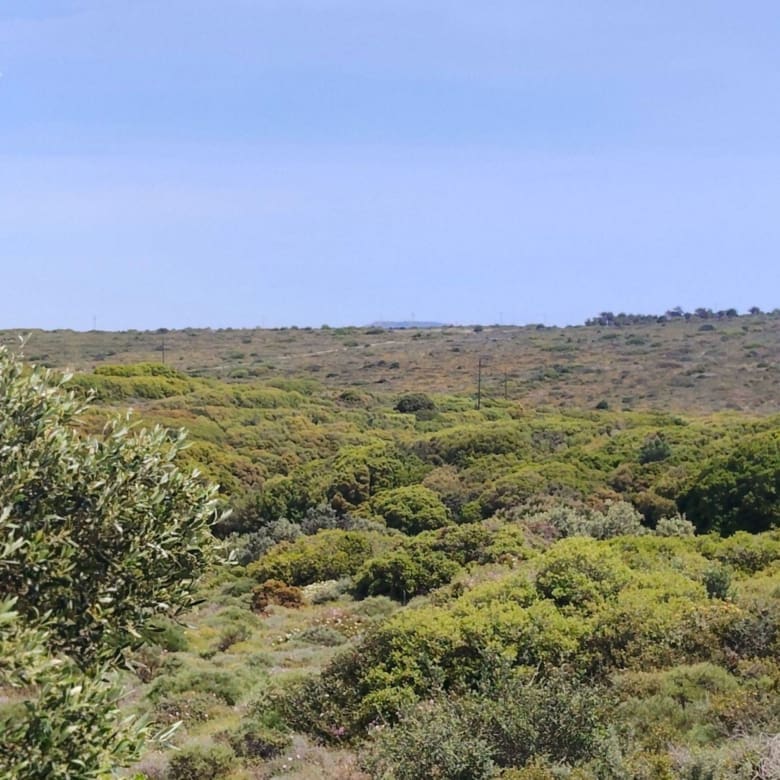 Wide landscape view with low vegetation and rolling terrain, Kythira, Greece