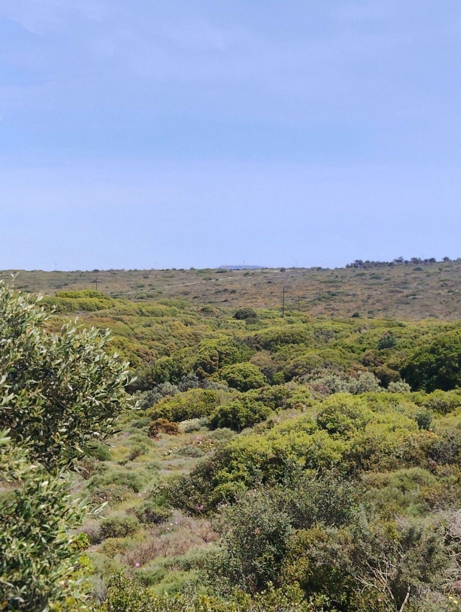 Wide landscape view with low vegetation and rolling terrain, Kythira, Greece