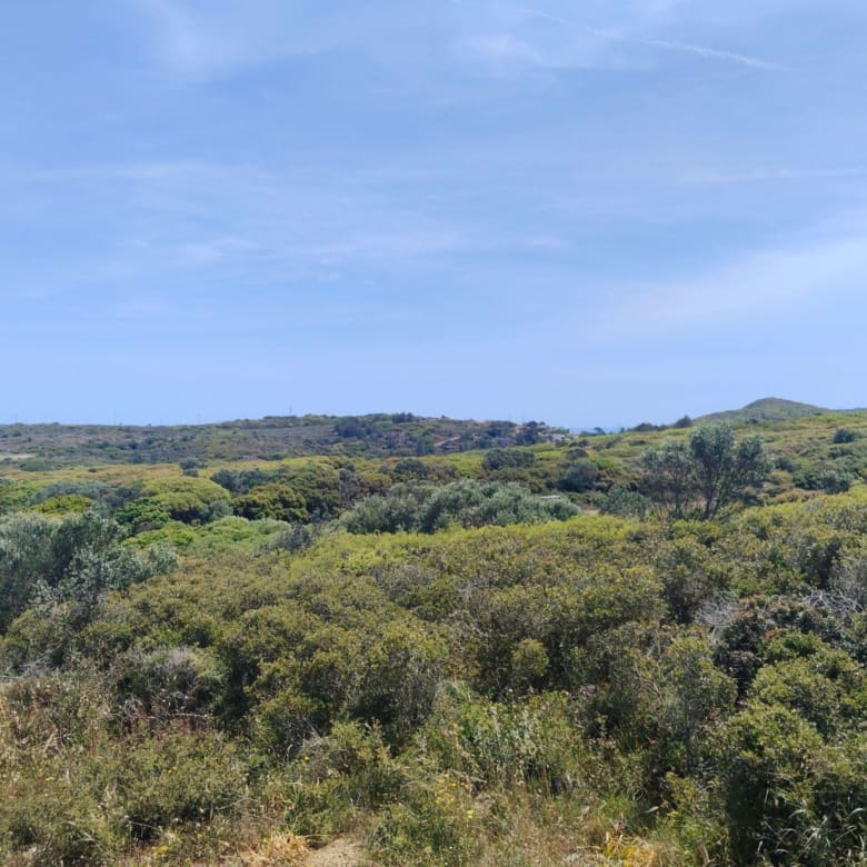 Panoramic hillside view with dense greenery and open sky, Kythira, Greece