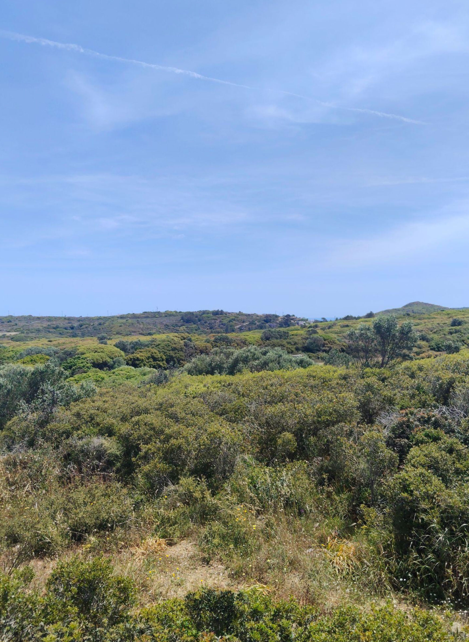 Panoramic hillside view with dense greenery and open sky, Kythira, Greece