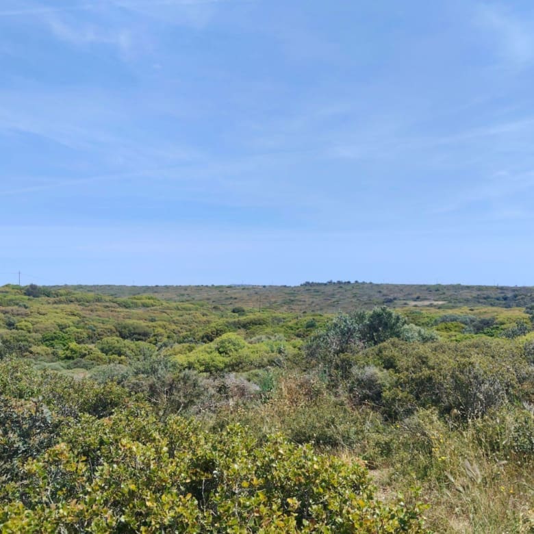 Wide view of Mediterranean vegetation and rolling terrain, Kythira, Greece