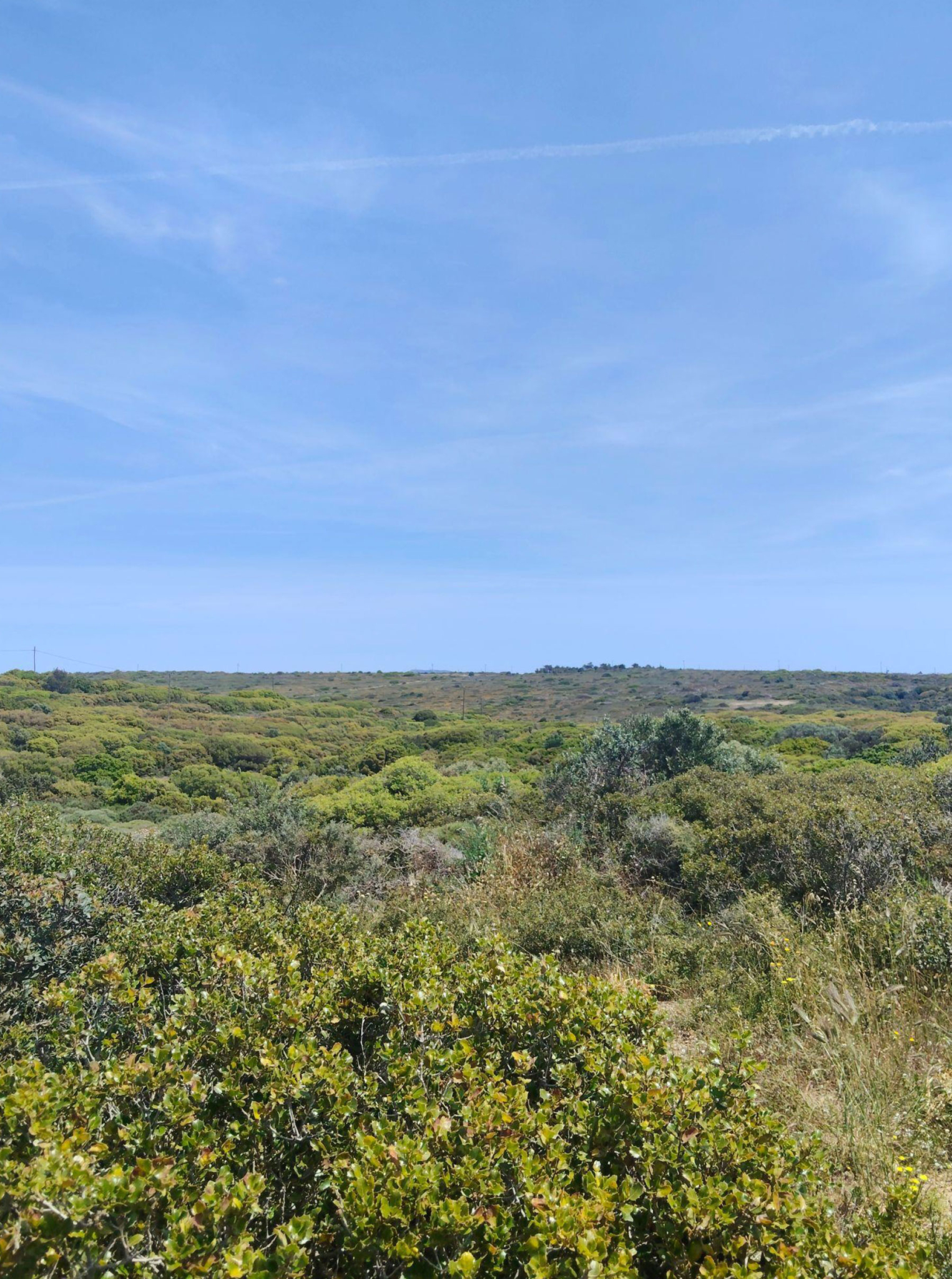Wide view of Mediterranean vegetation and rolling terrain, Kythira, Greece