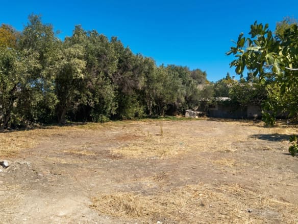 Land plot view with cleared ground and surrounding trees, Pallini, Athens, Greece