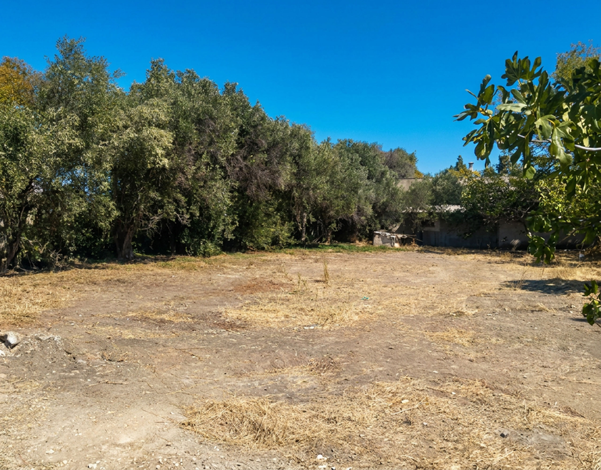 Pallini Mixed-Use Estate – Land Plot View With Trees Land plot view with cleared ground and surrounding trees, Pallini, Athens, Greece