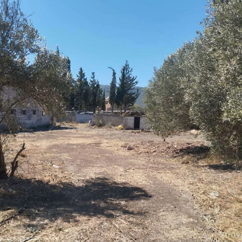 Open land plot area with trees and cleared ground, Pallini, Athens, Greece