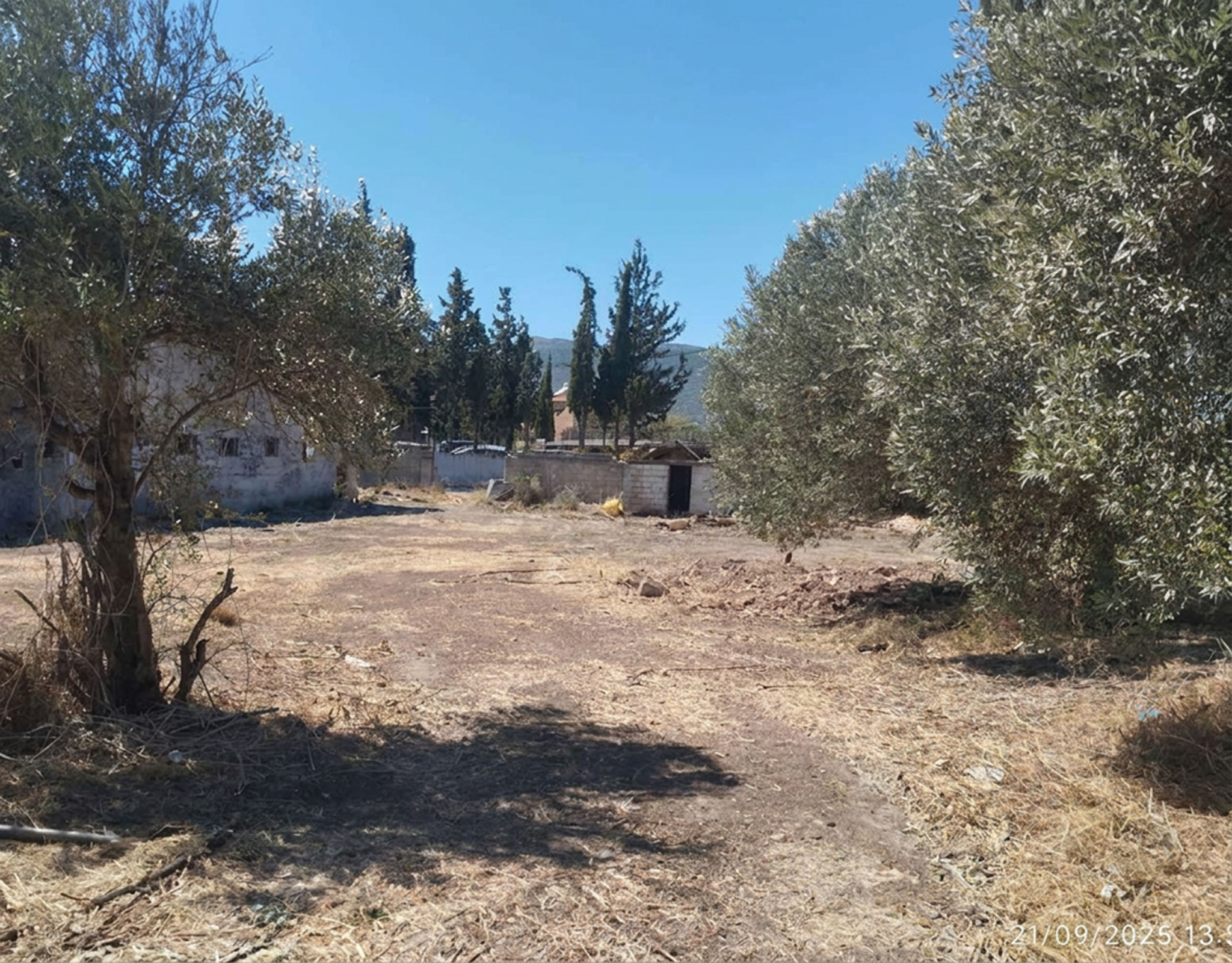 Pallini Mixed-Use Estate – Open Plot Area With Trees Open land plot area with trees and cleared ground, Pallini, Athens, Greece