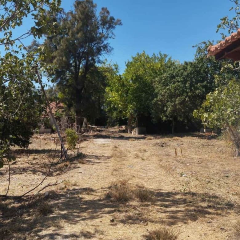 Land plot view beside a building with trees and open ground, Pallini, Athens, Greece