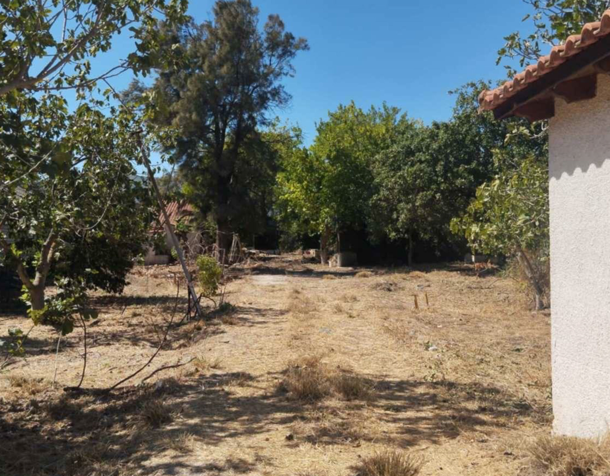 Pallini Mixed-Use Estate – Plot View Beside Existing Building Land plot view beside a building with trees and open ground, Pallini, Athens, Greece